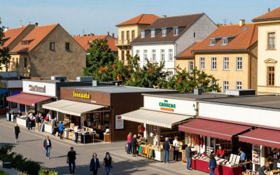 Marktintegration für Unternehmen im europäischen Binnenmarkt