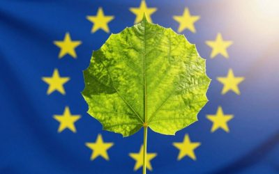 Nachhaltigkeit als zukunftssicheres Geschäftsmodell in der EU